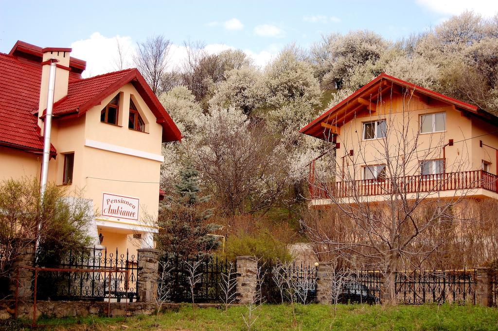 Hotel Pensiunea Ambiance Piatra Neamţ Exterior foto