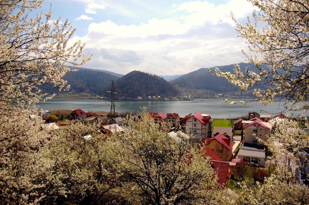 Hotel Pensiunea Ambiance Piatra Neamţ Exterior foto